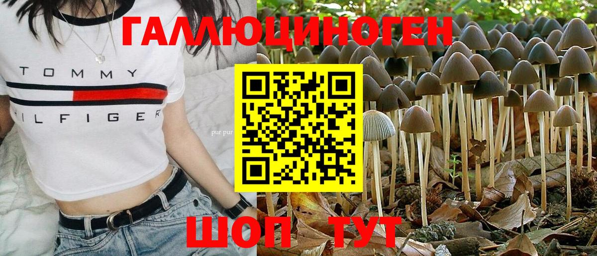 Тамбов  НБОМе  Меф МЯУ МЯУ   ГАШ  Вход с VPN  КОКАИН  Конопля 