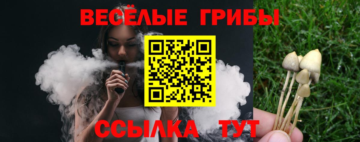 Псилоцибиновые грибы Psilocybe Тамбов